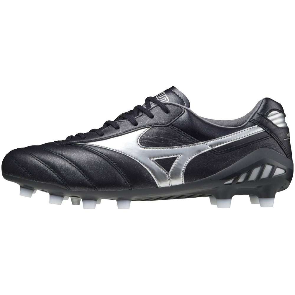 MORELIA DNA JAPAN